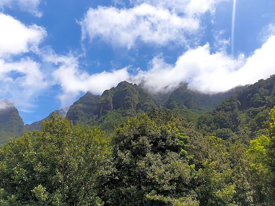 Casinhas da Laurissilva