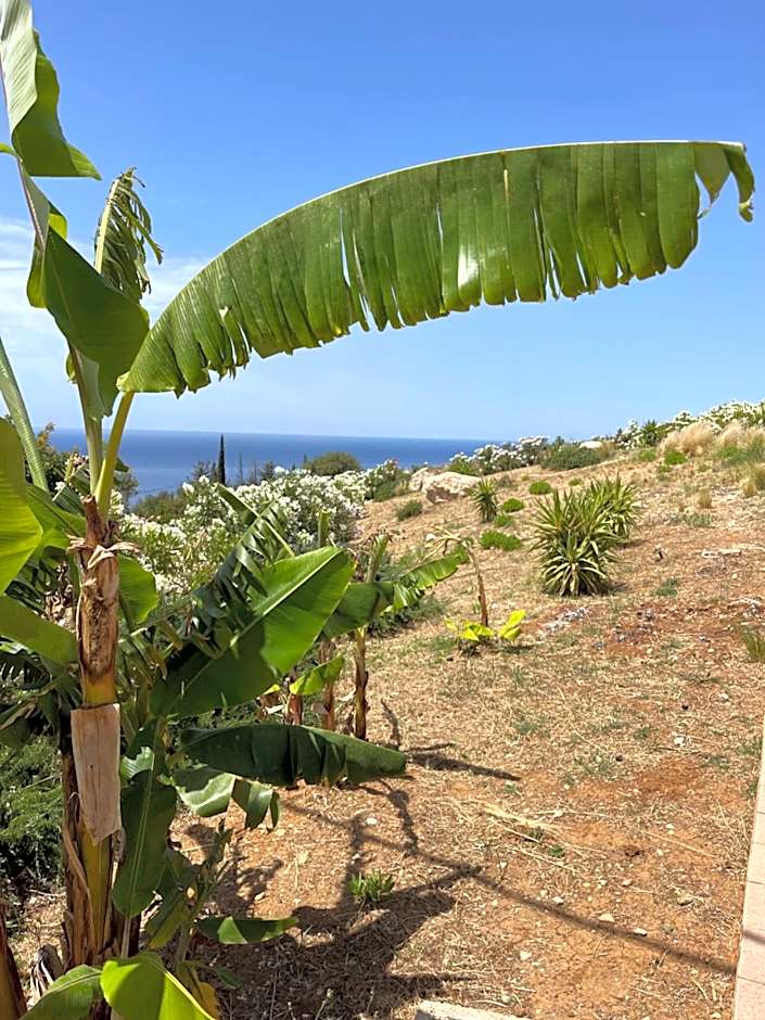 Kefalonian Escape Suites