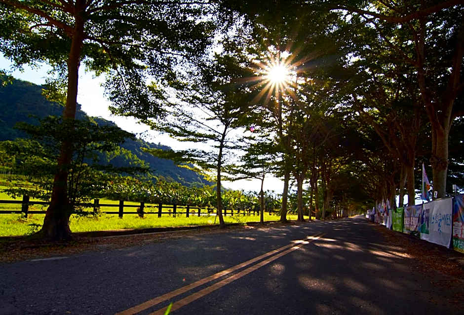 草莓牛奶台東民宿可洽包棟