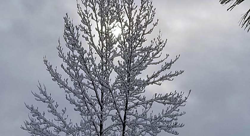 The Davies Family Inn