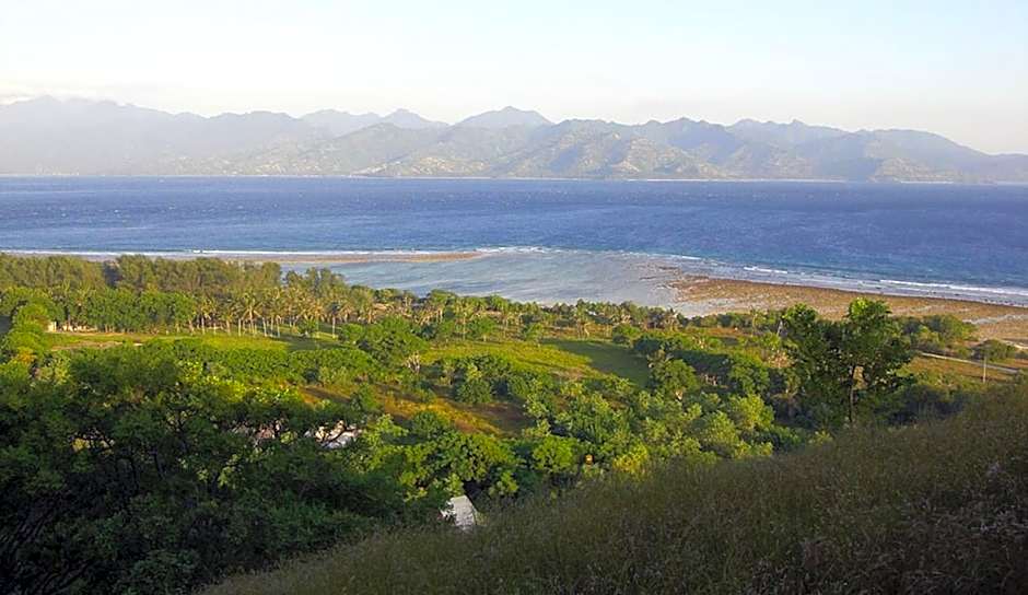 Mango Dive & Bungalow