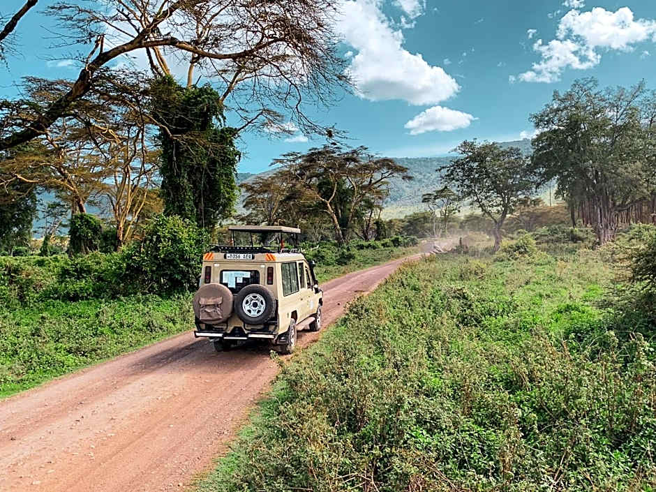 Foresight Eco Lodge & Safari