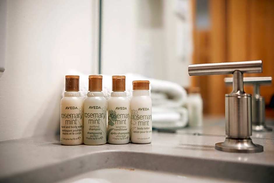 Forest Trails by Outpost Whistler