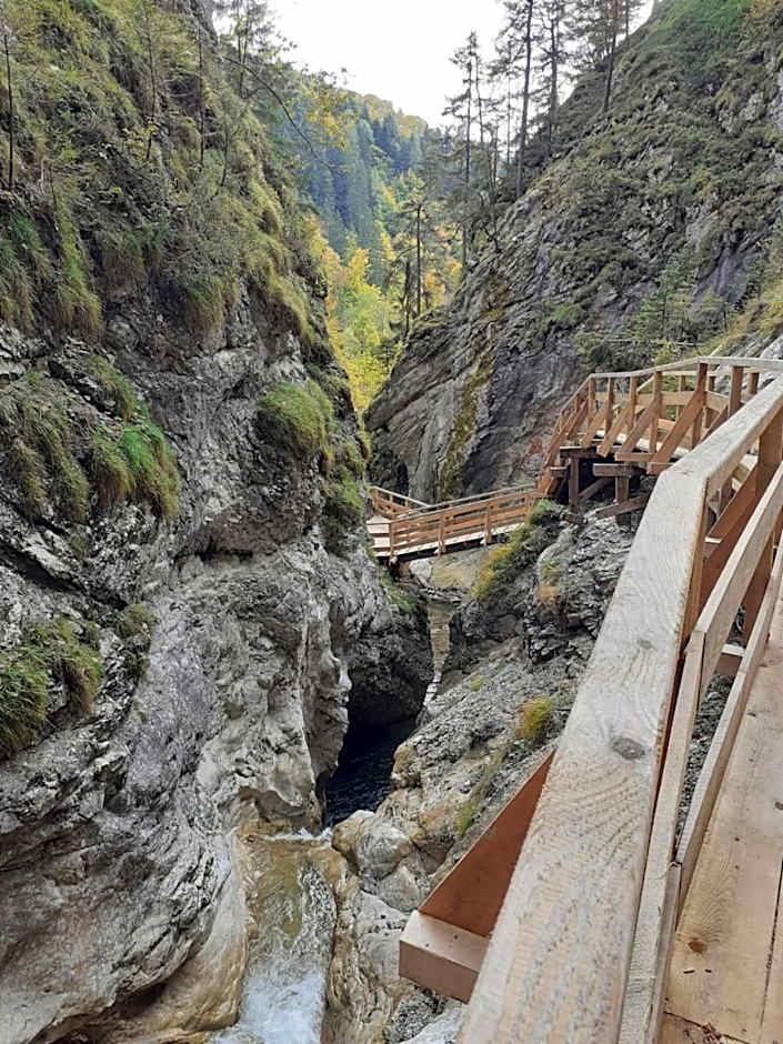 Steinerhaus Berggasthof