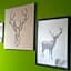 Simplon Hostel