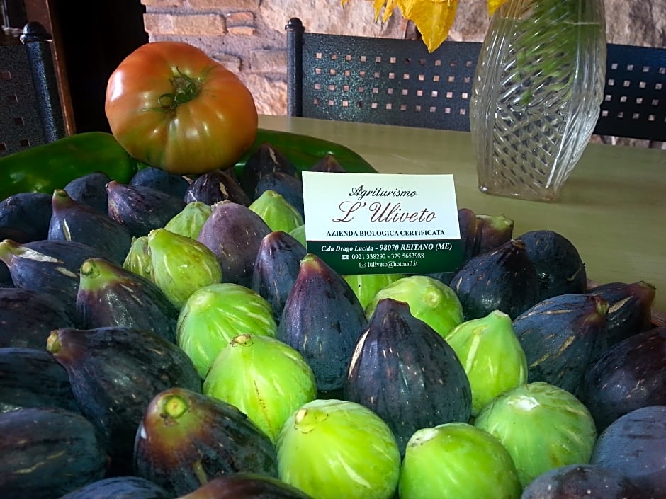 Agriturismo L'Uliveto