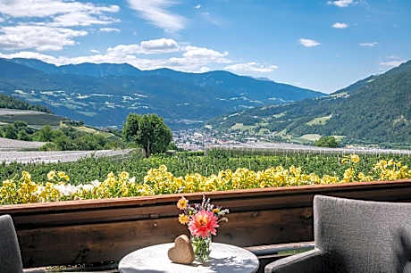 Tirolerhof - panoramic apartments