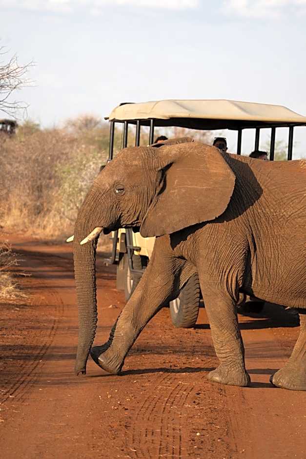 Black Rhino Game Lodge