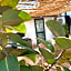 Janare - Rooms & Terrace