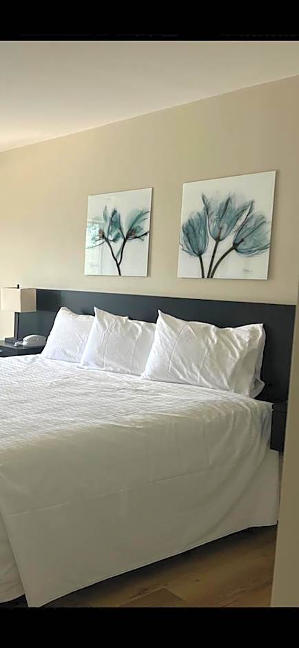 Richland Inn and Suites