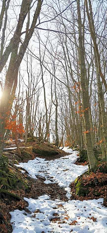 GranChalet sul Cimone 103