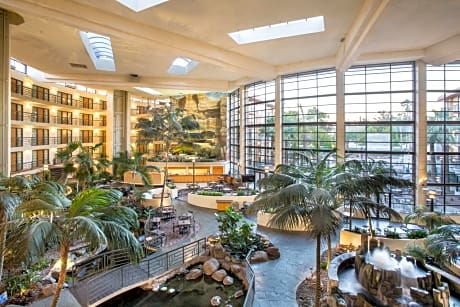 Embassy Suites by Hilton Phoenix Biltmore