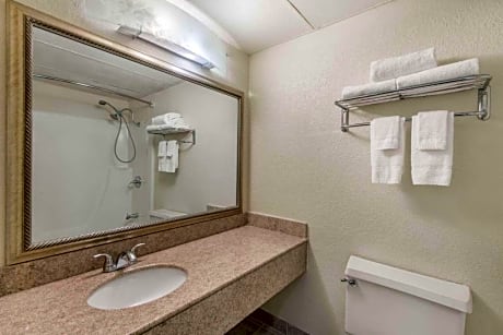 1 King Bed Non-Smoking