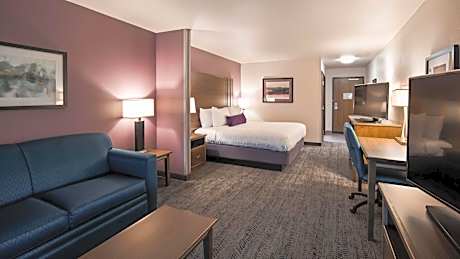 SUITE-1 KING BED,NSMK,SOFABD,MICROWV,REFRIG,HI SPD NET,FULL BREAKFAST