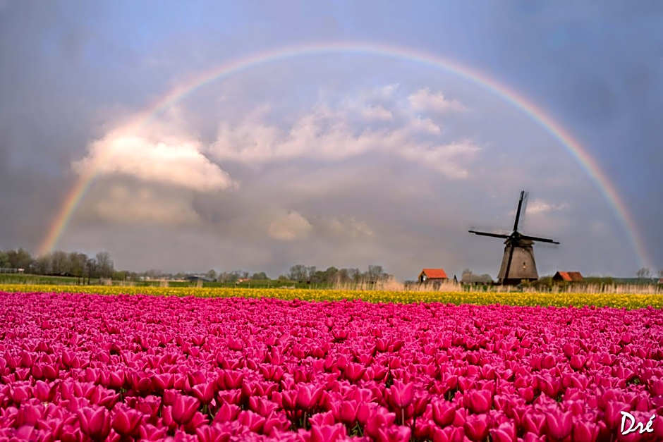 Strandhotel de Vassy