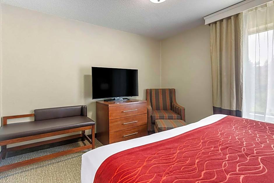 Comfort Inn & Suites Rapid City