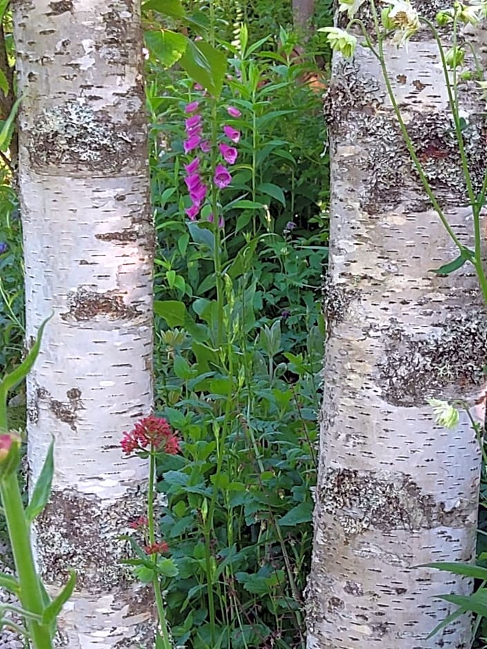 La Combe fleurie