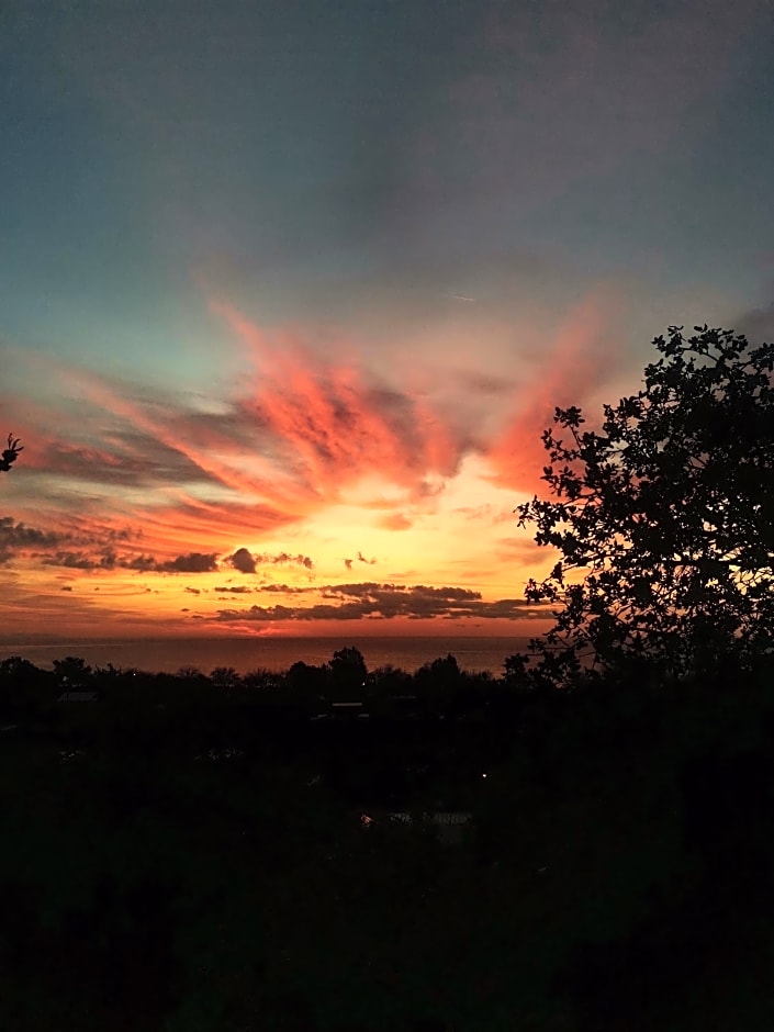 Village Garden Pansiyon