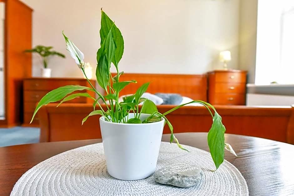 Hotel Jugend with Self Check-in