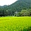 Guest house with host Takao SORA- Vacation STAY 13000