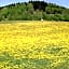 Ferien vom Ich, Bayerischer Wald, Hotel & Restaurant