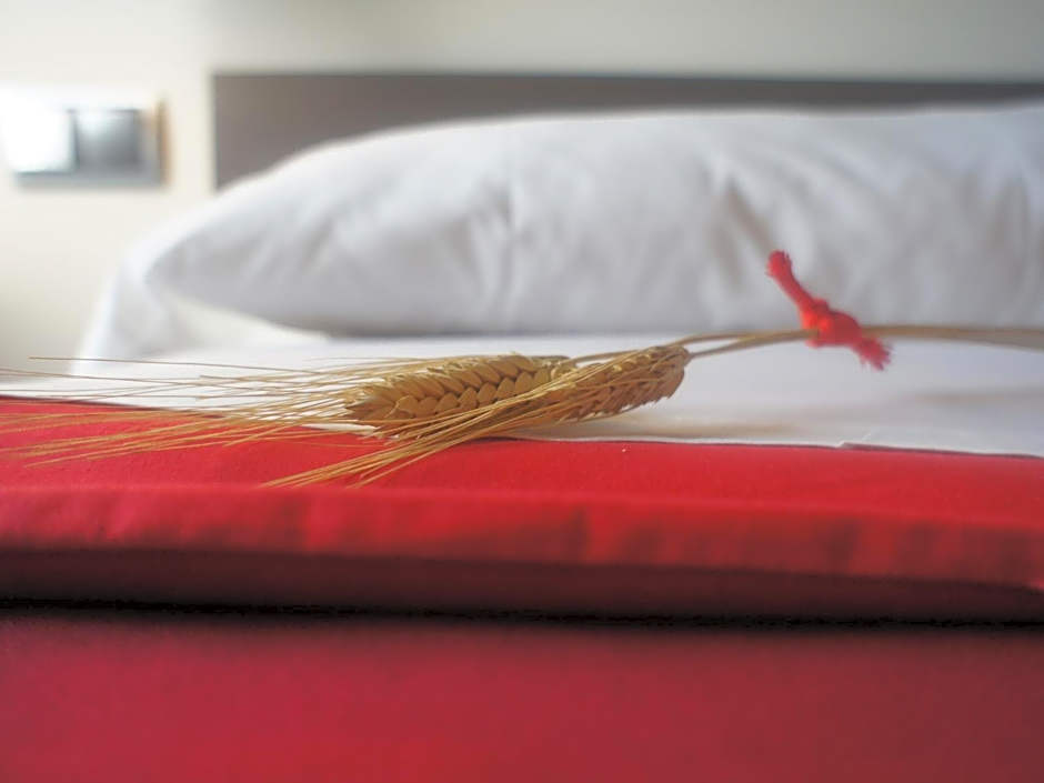 Seminari Allotjaments