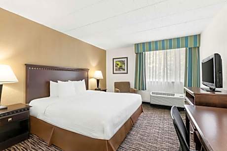 King Room with Mobility Accessible Roll-In Shower