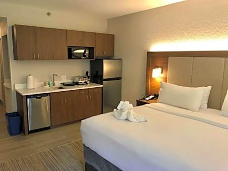1 King Bed Suite Non-Smoking
