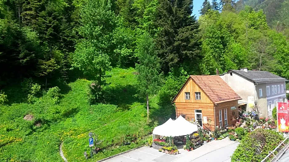 Hotel Gasthof Lercher