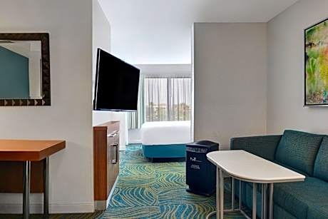 Standard King Suite with Sofa Bed - Allergy Friendly