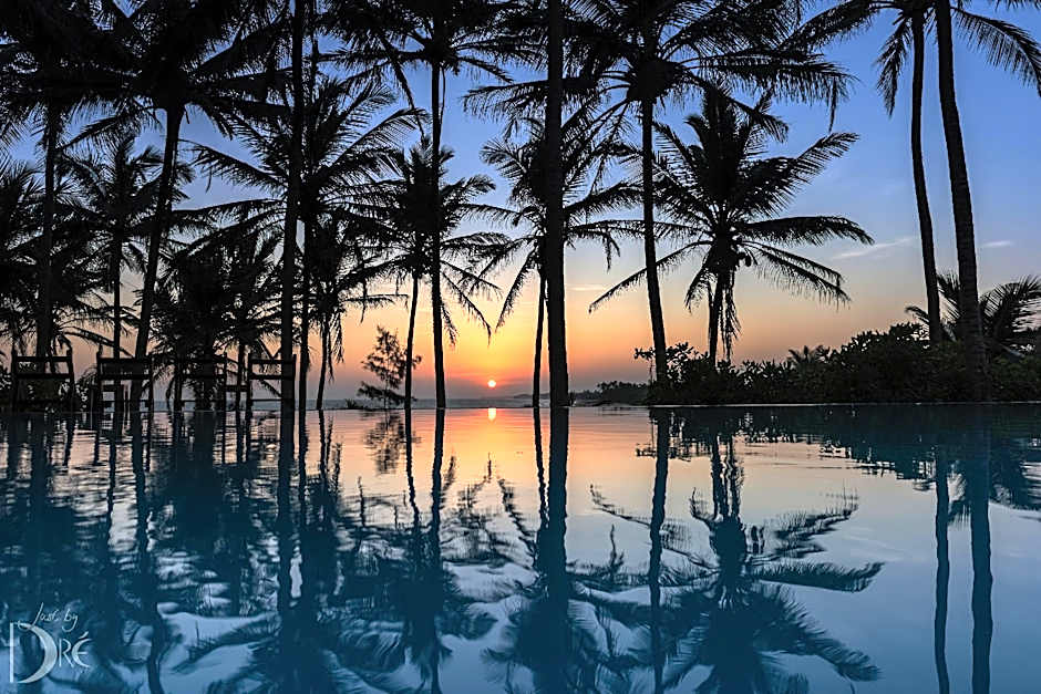 Photo 1 of 50 of Turtle Bay Hotel