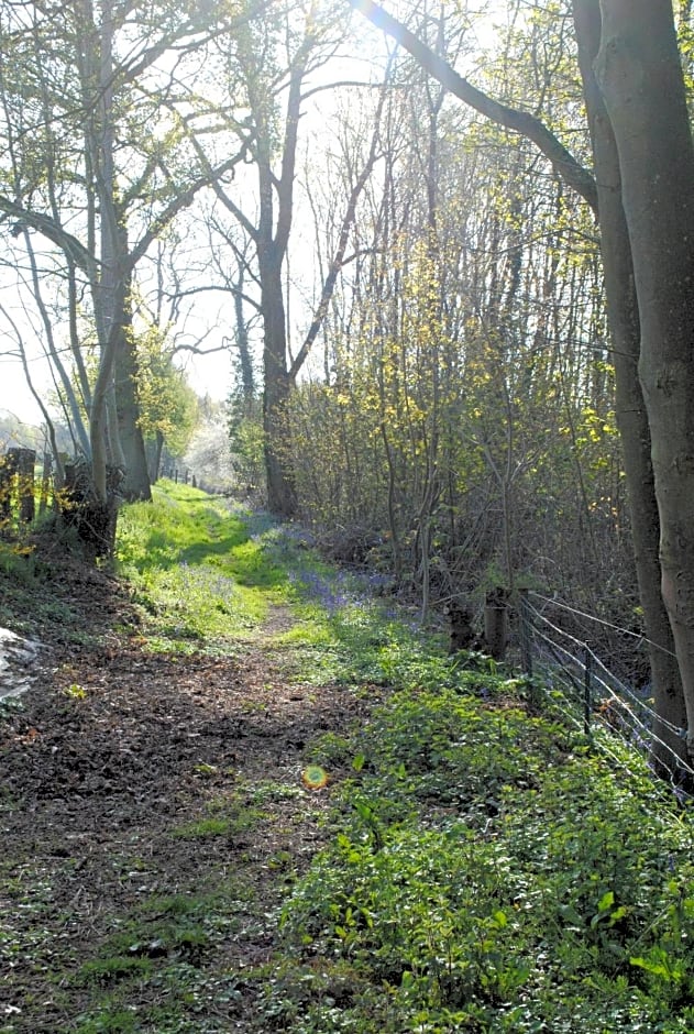 Chambres d'hôtes La Tribu