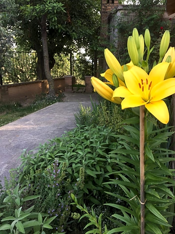 B&B Verde Mare – Acquaviva Picena, MO