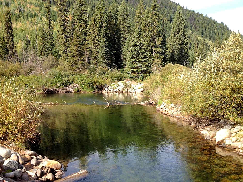 Summit River Lodge & Campsites
