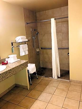 King Room - Pet Friendly/Non-Smoking