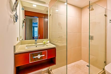 Standard King Room with City View