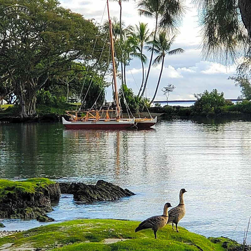 Hilo Reeds Bay Hotel