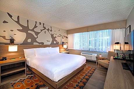 Standard King Room with Partial Mountain View - Pet-Friendly