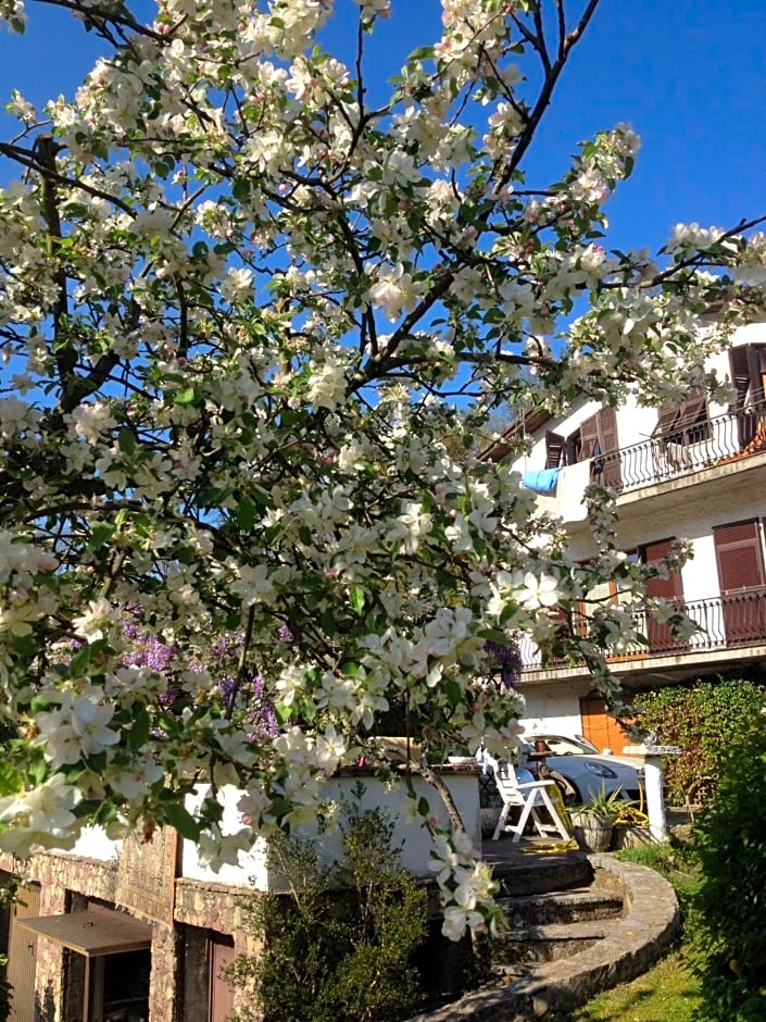 Il Ghiro B&B