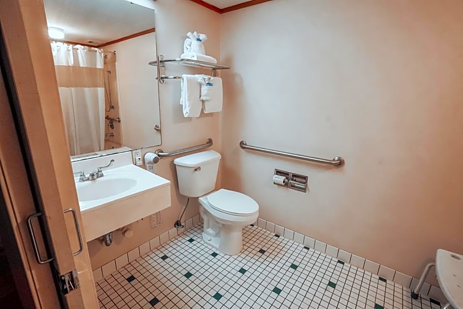 Lamplighter Inn and Suites - North