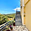 Anemona Studios