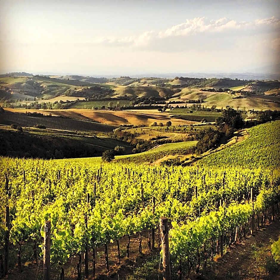 Hotel Del Buono Wellness & Medical Spa