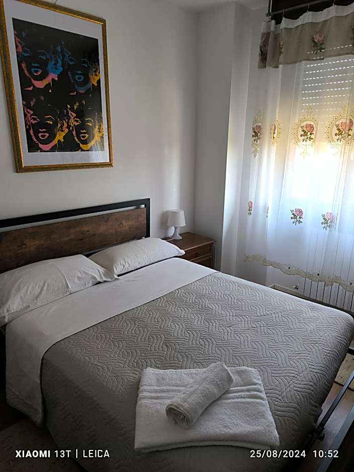 Le piante di casa SaMar