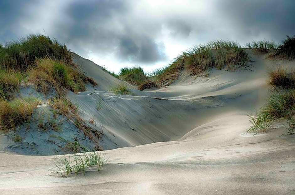 INSEL-LAND-HOTEL MICHAELSEN -Boutique Hotel- im Ostland mit Yoga u Sauna