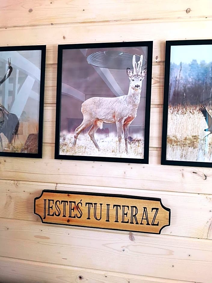 Domki Między Drzewami