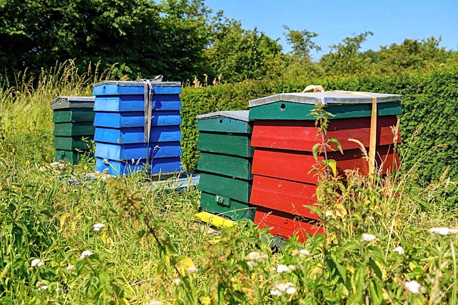 Stayokay Hostel Heemskerk