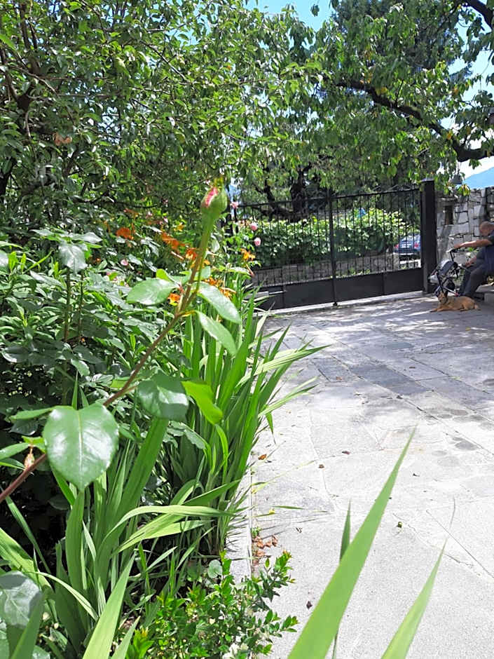 B&B Madonna della Neve