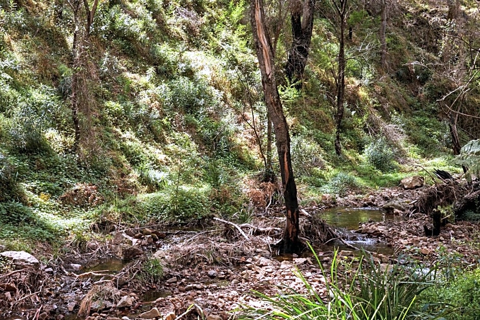 Monga Mountain Retreat