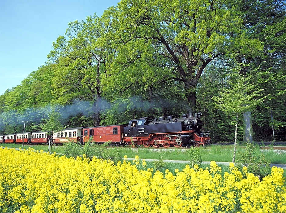Hotel Prinzenpalais Bad Doberan