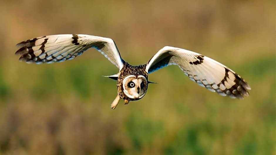 Bed and Breakfast Lauwersstate